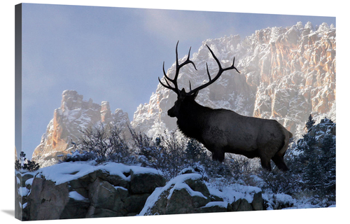 Global Gallery GCS-486488-40-142 40 in. King of the Mountain Art Print