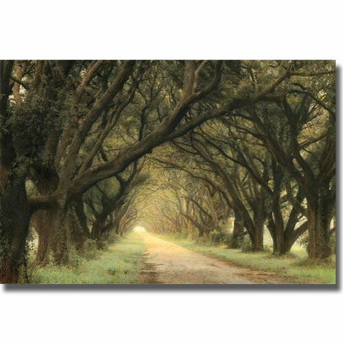 Artistic Home Gallery 1218968CG Evergreen Alley by William Guion Premi