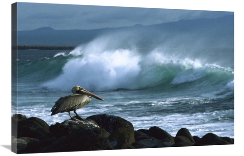 Global Gallery GCS-452308-2436-142 24 x 36 in. Brown Pelican & Ocean W