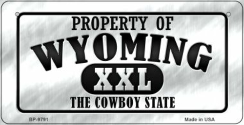 Smart Blonde BP-9791 3 x 6 in. Property of Wyoming Novelty Metal Bicyc