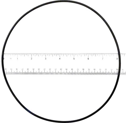 ALA-PT APCO2025 Starite Lid O-Ring