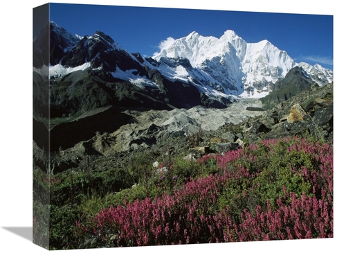 Global Gallery GCS-463210-16-142 16 in. Wildflowers & Kangshung Glacie