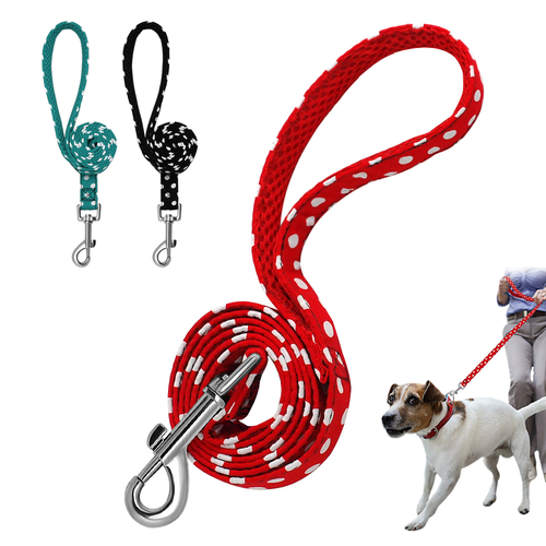4ft Walking Dog Leash for Small Medium Dogs Cats