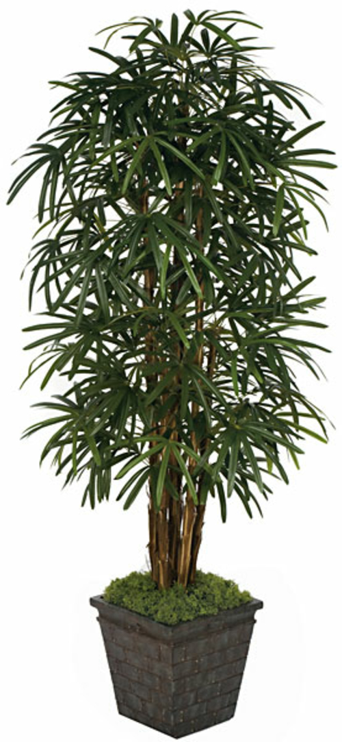 Autograph Foliages WR-60260 7 ft. Lady Palm Tree- Tutone Green