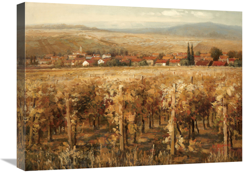 Global Gallery GCS-130709-1824-142 18 x 24 in. Italian Golden VIneyard