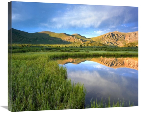 Global Gallery GCS-396604-30-142 30 in. Mount Bierstadt From Guanella 