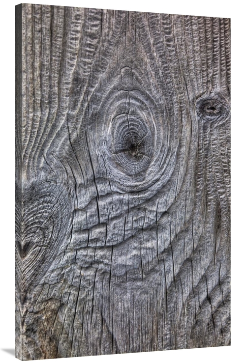 Global Gallery GCS-397776-44-142 44 in. Wind Eroded Wood, Deceptio