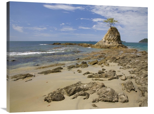 Global Gallery GCS-396157-3040-142 30 x 40 in. Point with Tree on Penc