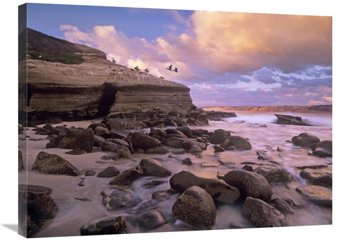 Global Gallery GCS-396689-2432-142 24 x 32 in. Brown Pelican Pair Land