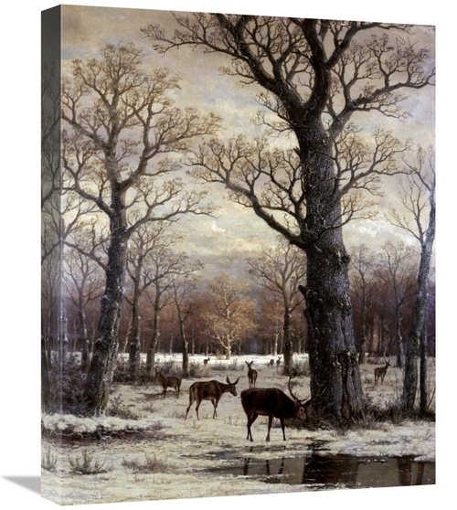 Global Gallery GCS-280796-22-142 22 in. Deer Foraging, Winter Art 