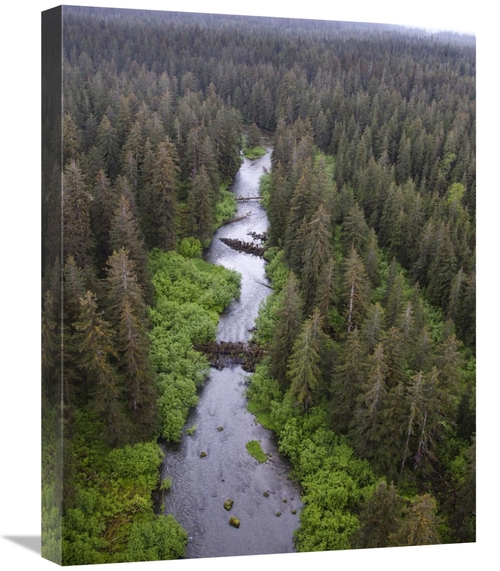Global Gallery GCS-395449-1824-142 18 x 24 in. Stream & Boreal Forest&