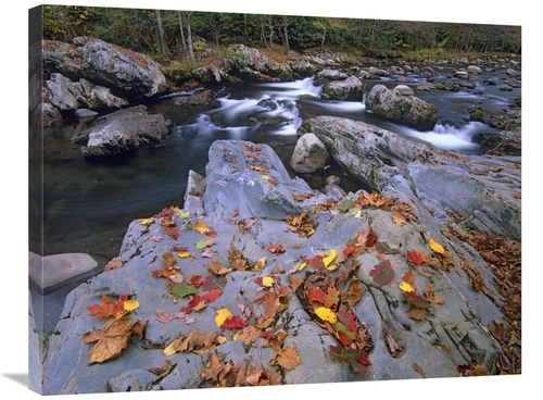 Global Gallery GCS-396727-2432-142 24 x 32 in. Little Pigeon River&#44