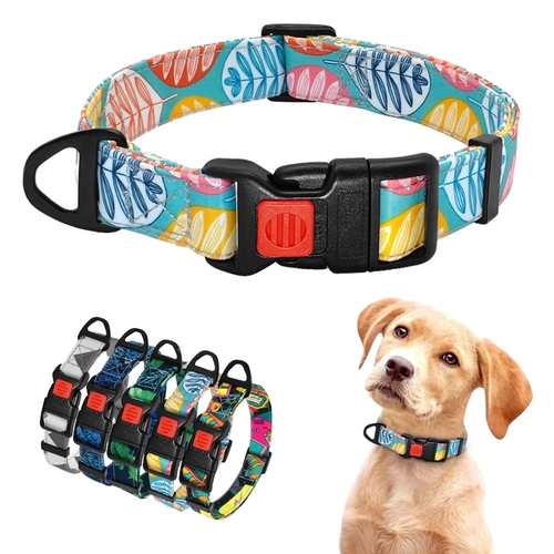 Fashion Nylon Dog Collar with Safety Buckle Soft