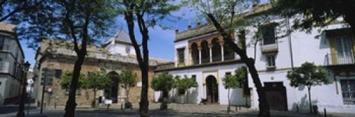 Trees in front of buildings  Convento San Leandro  Plaza Pilatos  Sevi