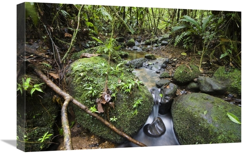 Global Gallery GCS-452677-1624-142 16 x 24 in. Creek in Mountain Rainf