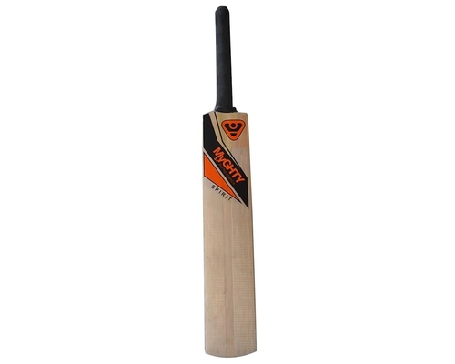 Kashmir Willow Cricket Bat