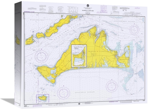 Global Gallery GCS-450525-16-142 16 in. Nautical Chart - Marthas Viney