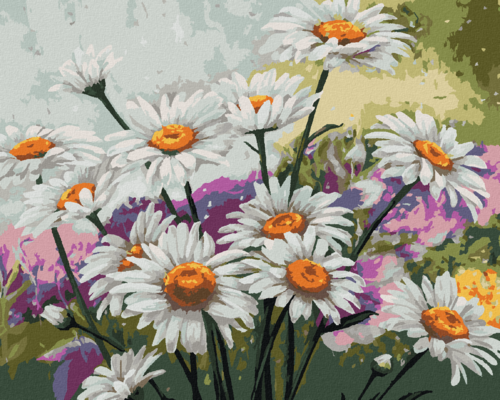 Paint by Numbers - CHAMOMILE IN A MEADOW