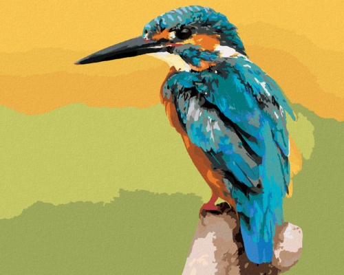 Paint by Numbers - BIRD KINGFISHER