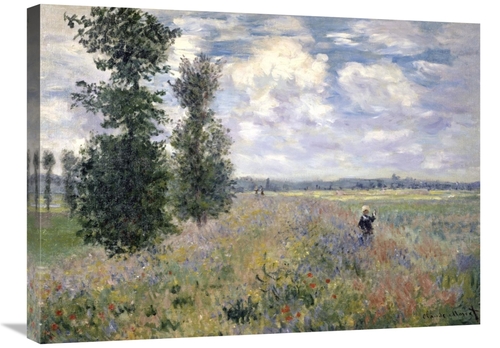 Global Gallery GCS-278718-30-142 30 in. The Poppy Field, Argenteui