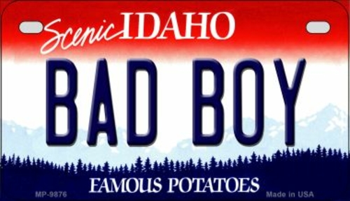 Smart Blonde MP-9876 7 x 4 in. Bad Boy Idaho Novelty Metal Motorcycle 