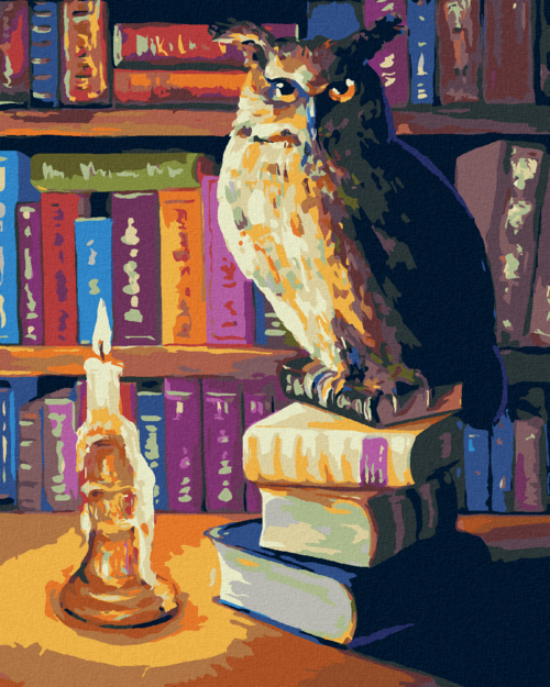 Paint by Numbers - OWL IN THE LIBRARY