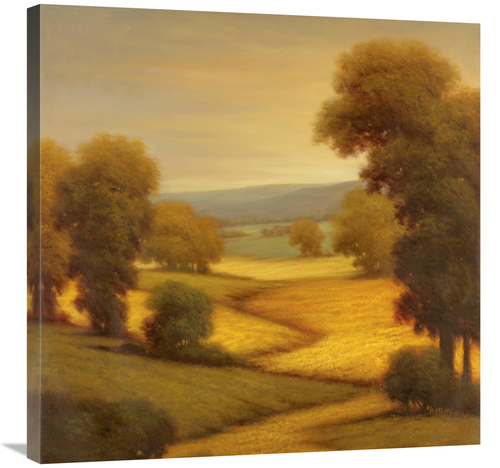 Global Gallery GCS-130146-3030-142 30 x 30 in. Amber Outlook I Art Pri