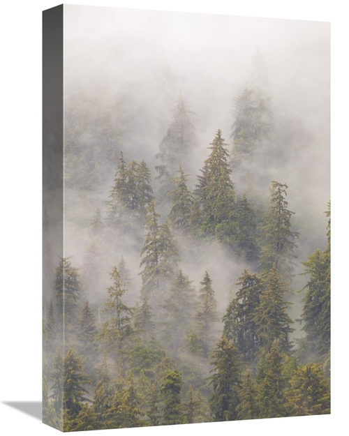 Global Gallery GCS-395407-1218-142 12 x 18 in. Mist in Tongass Nationa