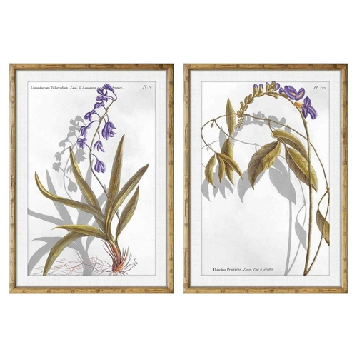 Painting DKD Home Decor 50 x 2 x 70 cm Modern Botanical plants (2