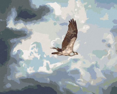Zuty - Paint by Numbers - EAGLE IN THE CLOUDS (D. RUSTY RUST), 40x50