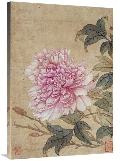 Global Gallery GCS-267287-40-142 40 in. Peony Art Print - Yun Shouping