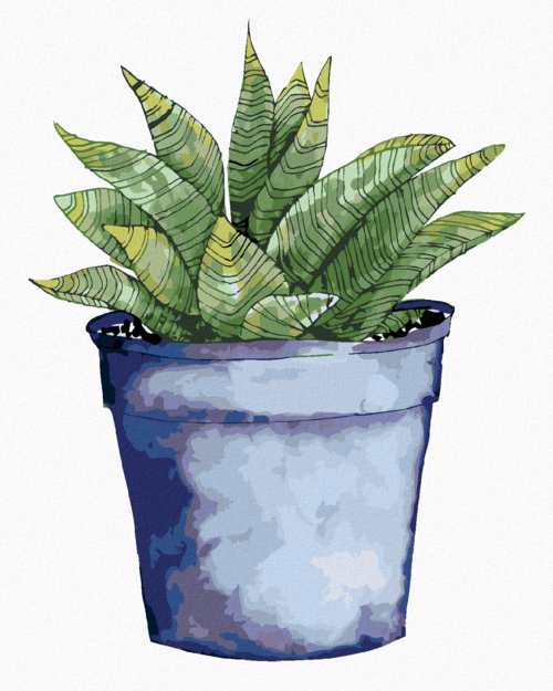 Paint by Numbers - SUCCULENT IN A BLUE POT (ALEXANDRIA GILBERT)