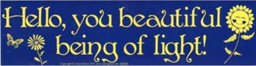 Hello, You Beautiful Being of Light bumper sticker