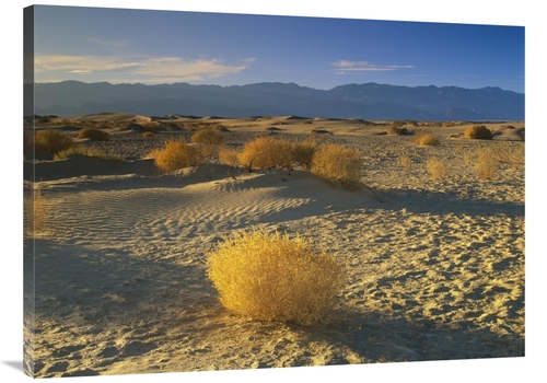 Global Gallery GCS-396646-3040-142 30 x 40 in. Mesquite Flat Sand Dune