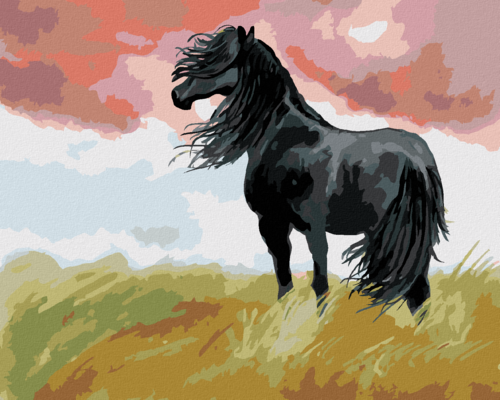 Paint by Numbers - BLACK HORSE IN A MEADOW