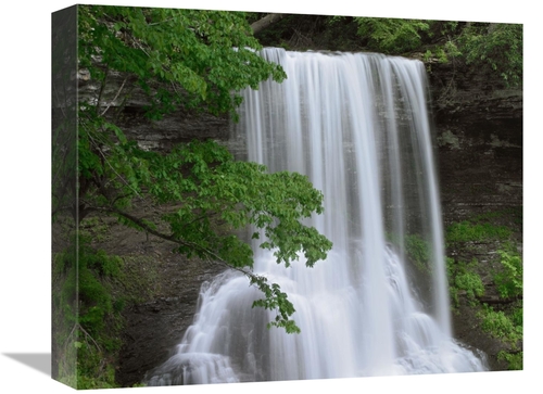 Global Gallery GCS-396492-16-142 16 in. Cascading Waterfall in Jeffers