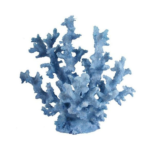 Coral Blue Seaweed