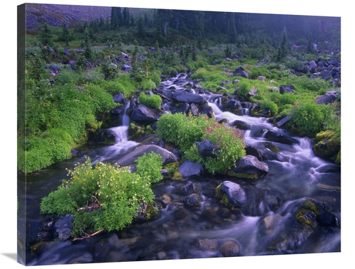 Global Gallery GCS-396841-2835-142 28 x 35 in. Paradise River with Wil