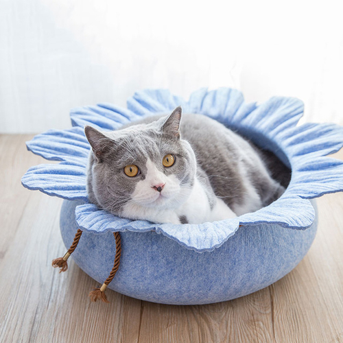 Adorable Lotus Leaf Shape Cat Bed House