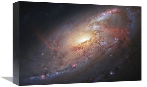 Global Gallery GCS-456001-1218-142 12 x 18 in. Galaxy M106 Art Print -