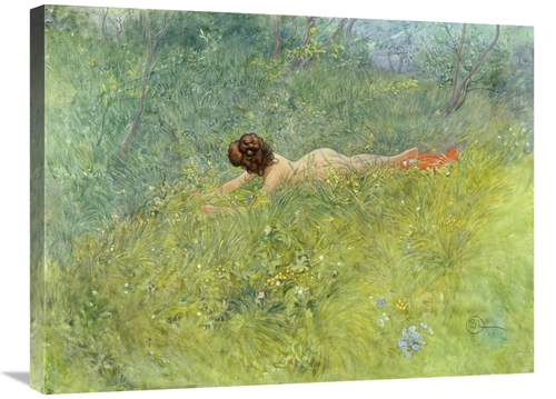 Global Gallery GCS-282341-30-142 30 in. On the Grass Art Print - Carl 