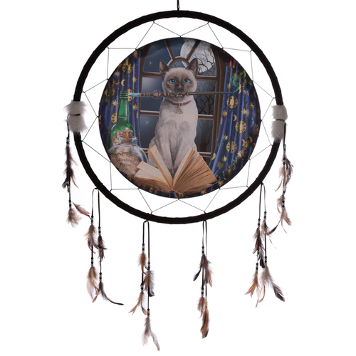 Decorative Lisa Parker Hocus Pocus 60cm Dreamcatcher