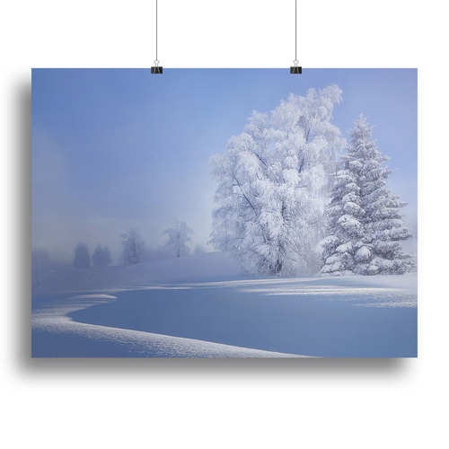 Crispy Morning Canvas Print or Poster
