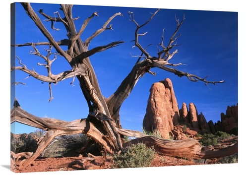 Global Gallery GCS-452032-3040-142 30 x 40 in. Snag At Fiery Furnace L