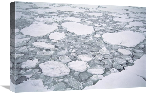 Global Gallery GCS-451549-1624-142 16 x 24 in. Sea Ice, Pancake Ic