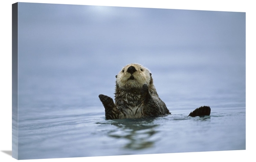 Global Gallery GCS-395807-2436-142 24 x 36 in. Sea Otter, Prince W