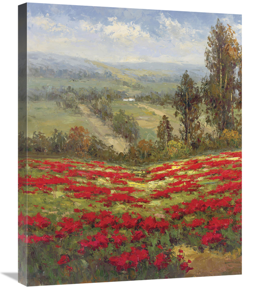 Global Gallery GCS-128434-2228-142 22 x 28 in. Poppy Vista II Art Prin