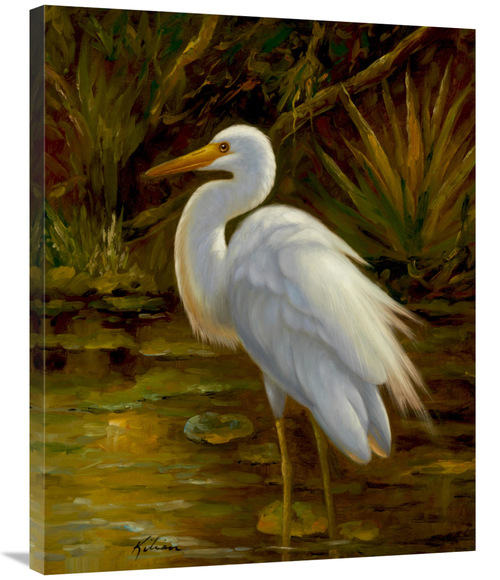 Global Gallery GCS-132585-2835-142 28 x 35 in. Tropical Egret II Art P