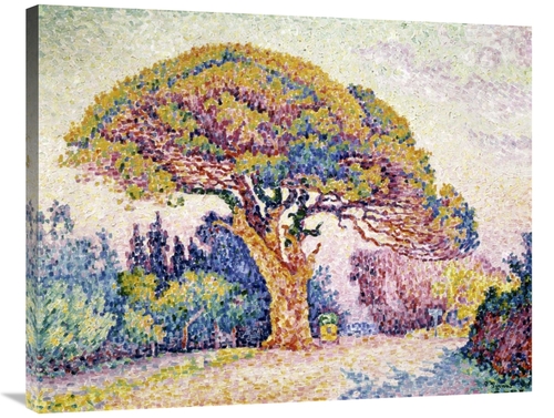 Global Gallery GCS-280057-36-142 36 in. Pine Tree in St. Tropez Art Pr