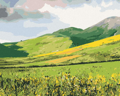 Paint by Numbers - MEADOW AND MOUNTAINS (TED DAVIS)